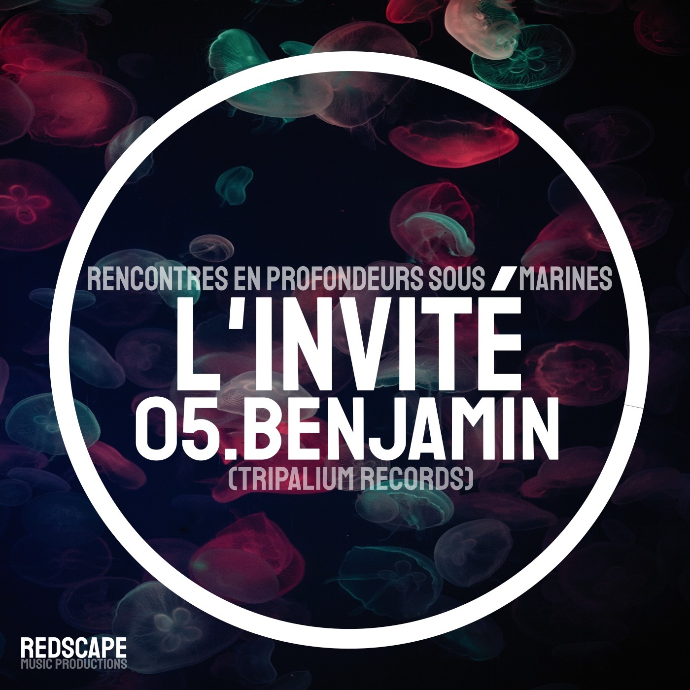 Les Abyssales : L'Invité EP05 – Benjamin (Tripalium Corp.) 